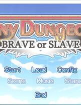 606 - Tiny Dungeon ~BRAVE or SLAVE~ 汉化硬盘去广告纯净版
