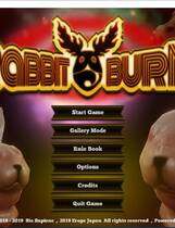 970 - Rabbit Burn 疯狂兔子火辣弹球 V1.09 3D游戏中文汉化硬盘版