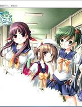 509 - 四叶草 よつのは 汉化硬盘去广告纯净版