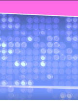 A0465 - 定制俱乐部 Build.12144584-1.0.3+DLC 免安装STEAM官中文正式[1.19GB]